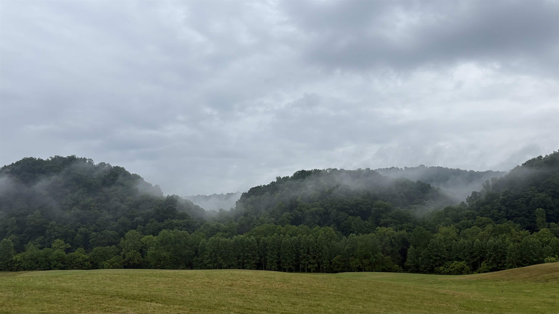 Stardust Homestead field
